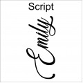 Script 