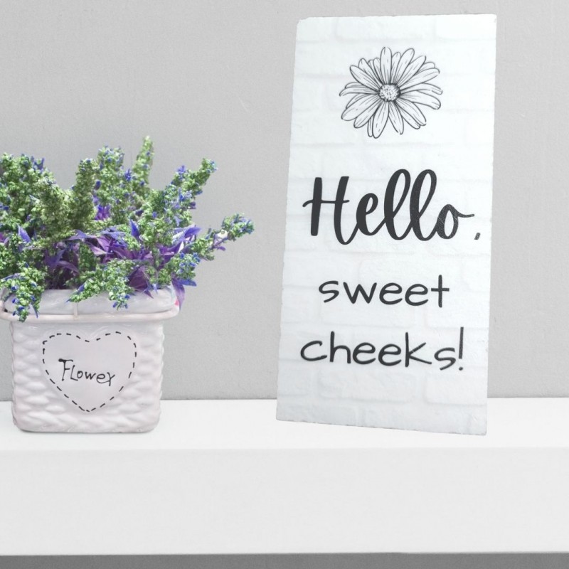 Cornerstone/Bathroom Series--Hello Sweet Cheeks Cornerstone/Bathroom Series--Hello Sweet Cheeks
