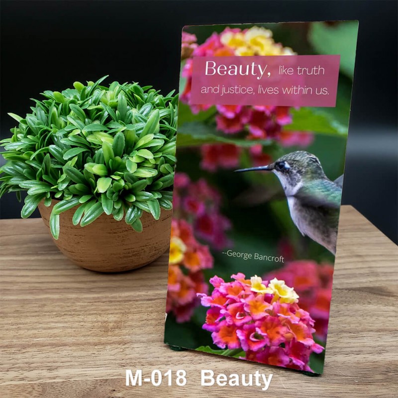 Beauty