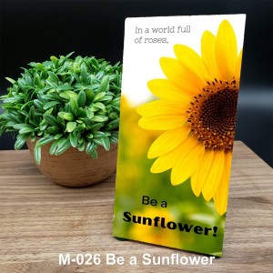  Cornerstone: Be a Sun Flower