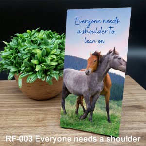 Cornerstone: Everyone Needs a Shoulder