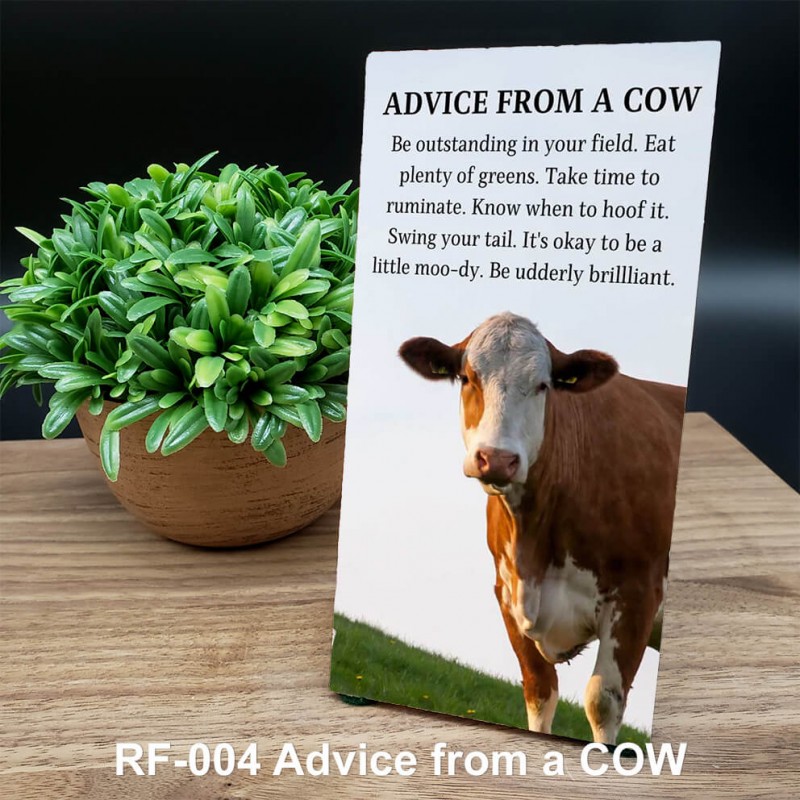 Cornerstone: Advice from a Cow Cornerstone: Advice from a Cow