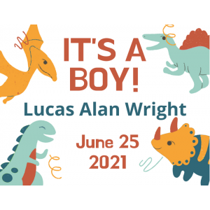 Yard Sign - New Baby/Dinos