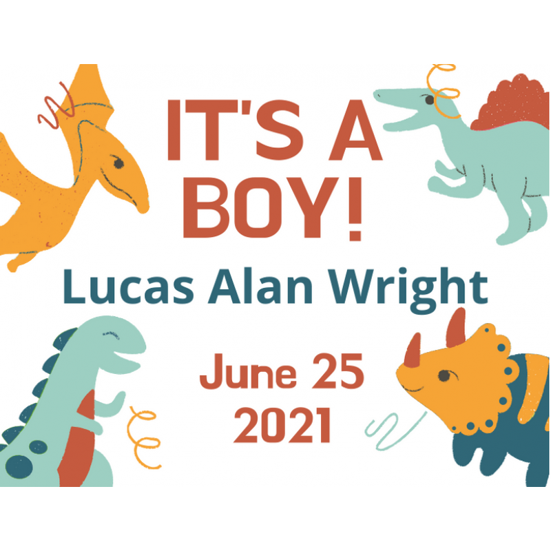 Yard Sign - New Baby/Dinos